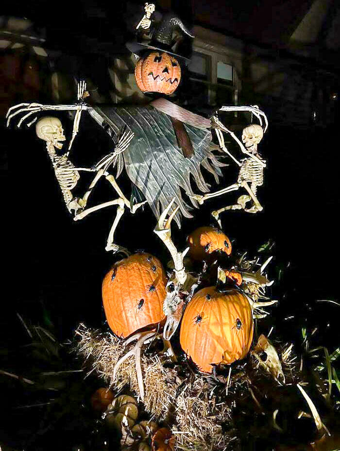 Pete, The Pumpkin-Head Scarecrow, Planned On Having A Nice, Quiet Evening