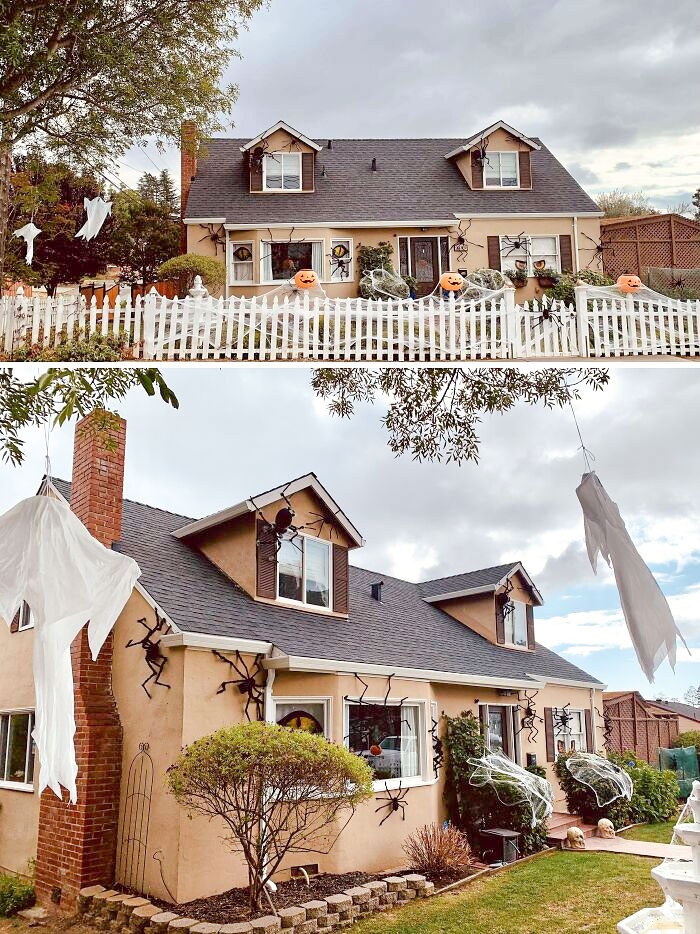 Spider Attack On My House