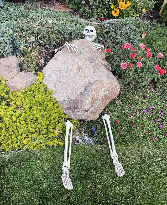 Silly Garden Halloween Decoration