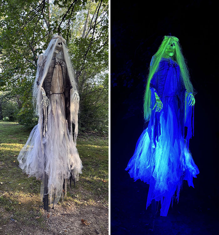Banshee During The Day And The Night