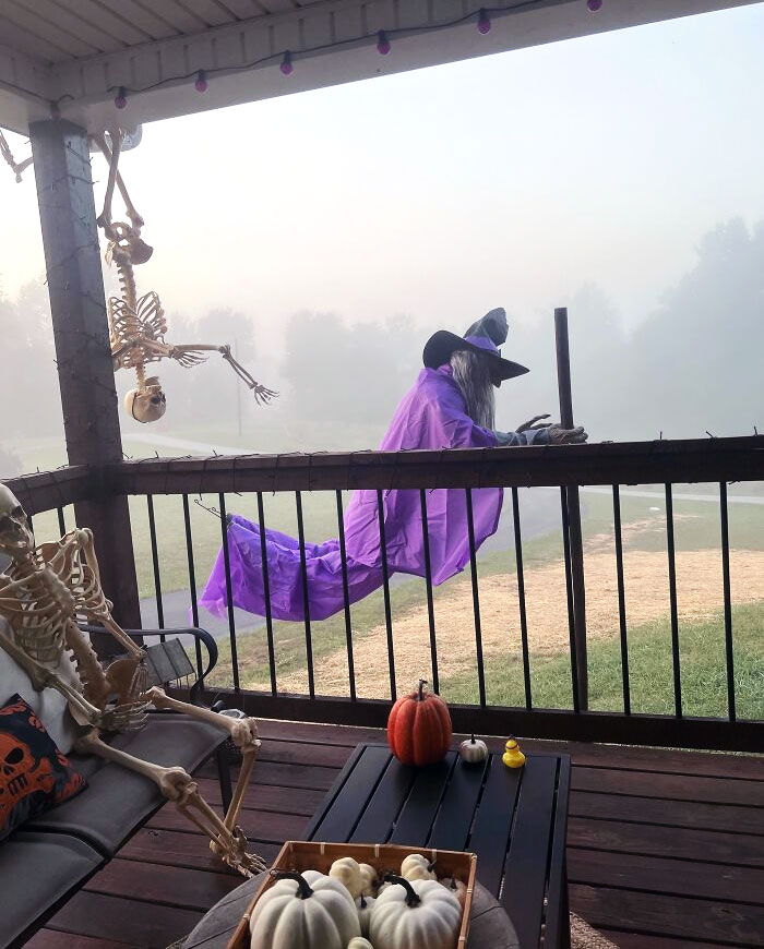 Nothing More Terrifying Than Looking Out Your Window And Seeing A Rubber Ducky