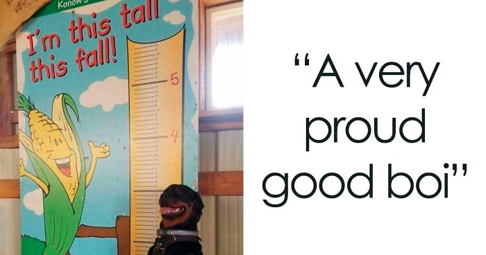 50 ‘Blessed Images’ That Radiate Positivity And Happiness