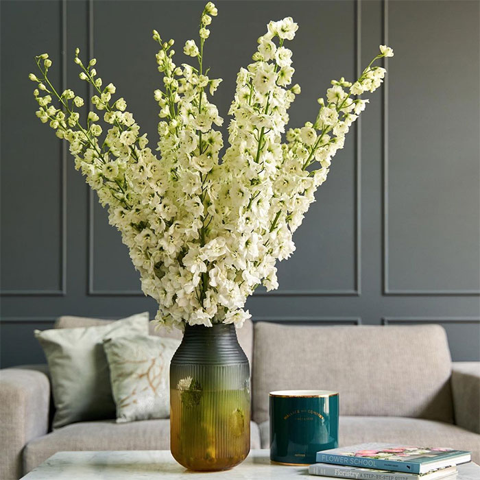 white delphinium stalks in a vase white delphinium stalks in a vase