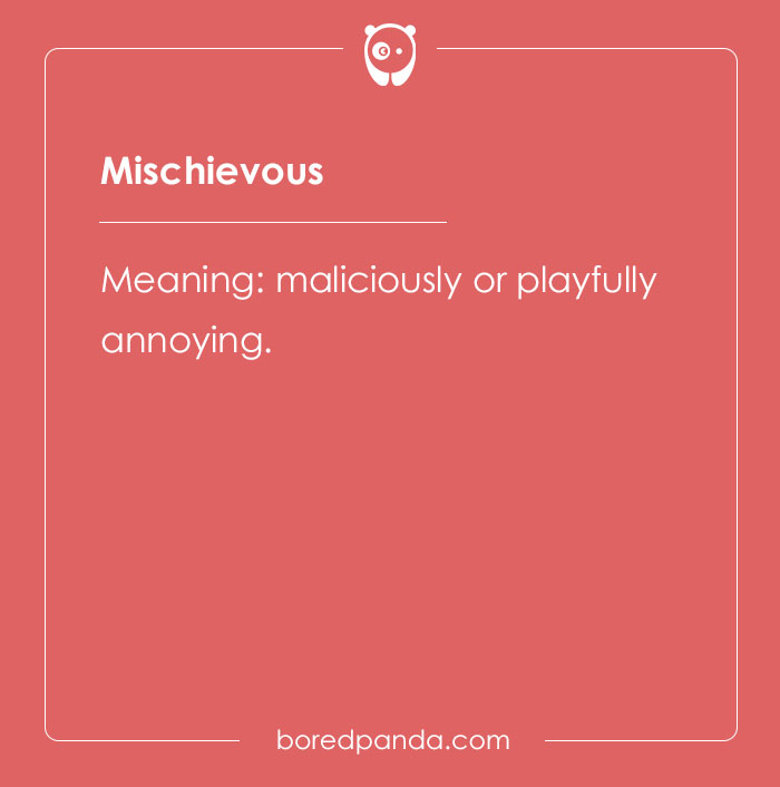 116 Difficult Words For The Linguist In You