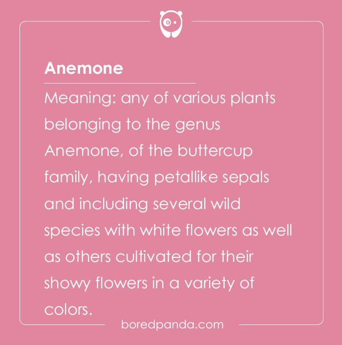 116 Difficult Words For The Linguist In You