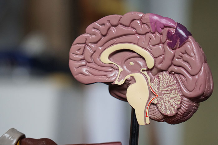 50 Scary Facts That People Shouldn't Know But Do, As Shared By People On This Thread