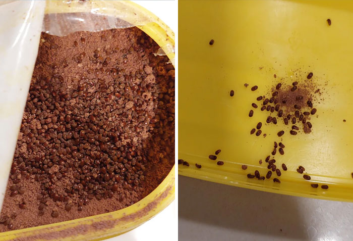 Found Some Extra Proteins In My Nesquik