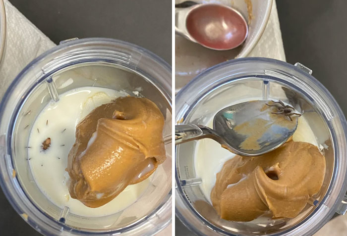 I Did Say I Wanted More Protein