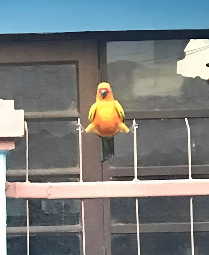 Disturbing-Zone-Pics