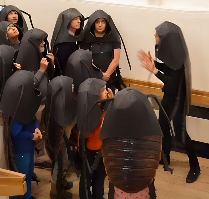 Disturbing-Zone-Pics