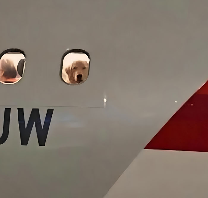 Disturbing-Zone-Pics