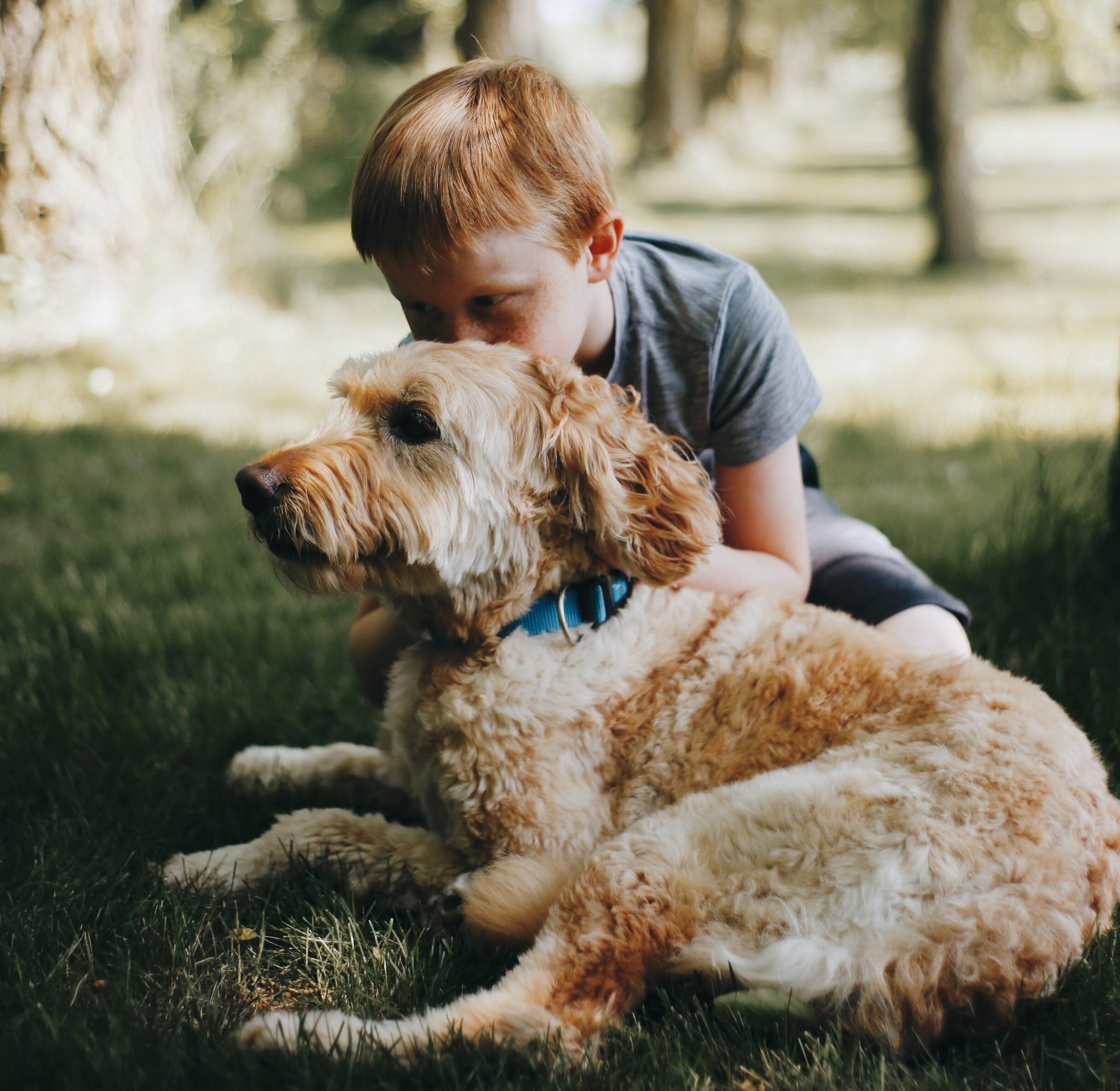 Child embracing a dog on grass, conveying a heartfelt goodbye. Child embracing a dog on grass, conveying a heartfelt goodbye.