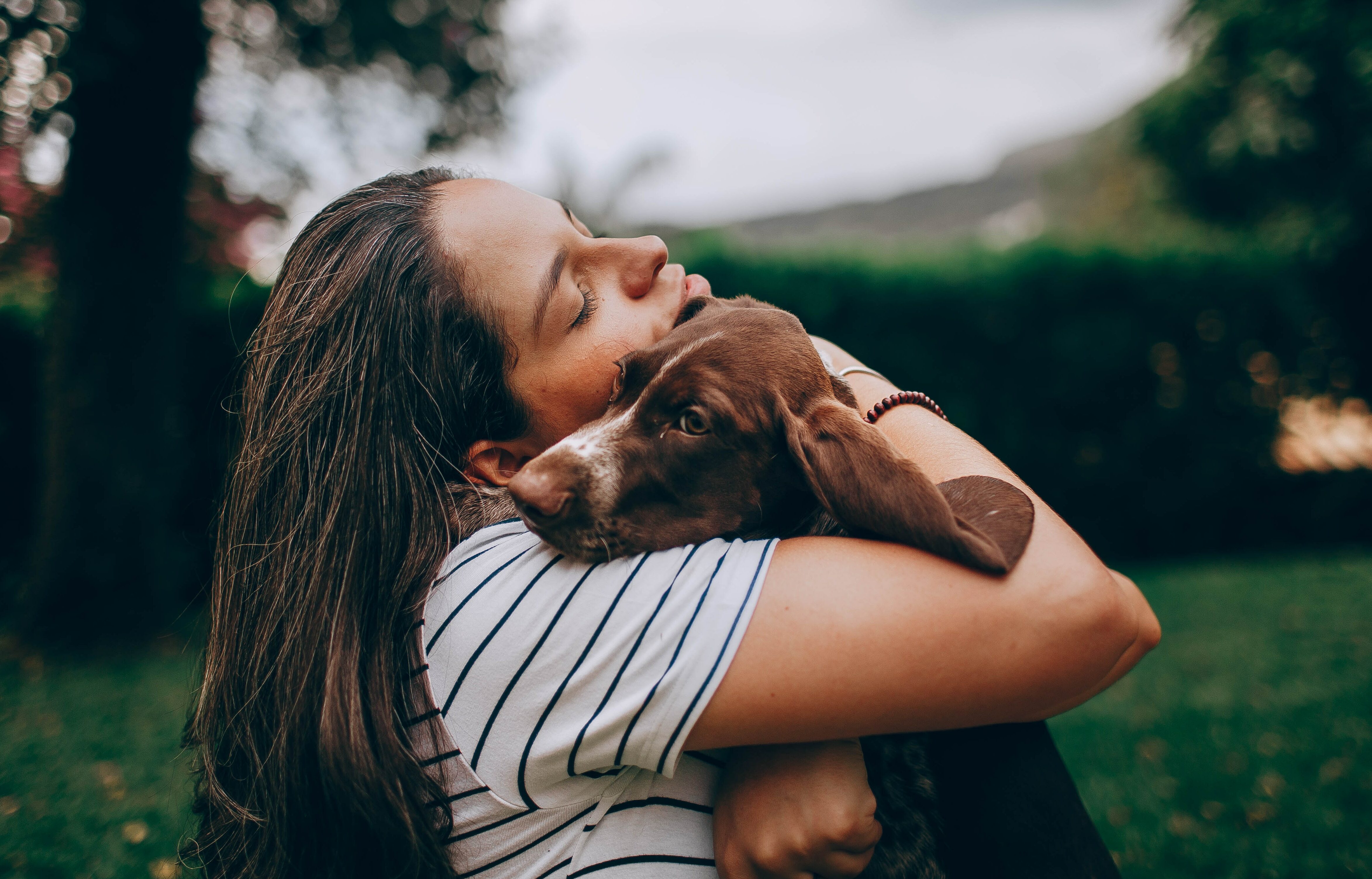 Woman hugging a dog in a garden, exploring if dogs know they are dying. Woman hugging a dog in a garden, exploring if dogs know they are dying.