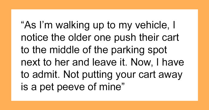 Karens Leave Their Cart In The Middle Of Parking Lot, Get Surprised When Another Shopper Confronts Them