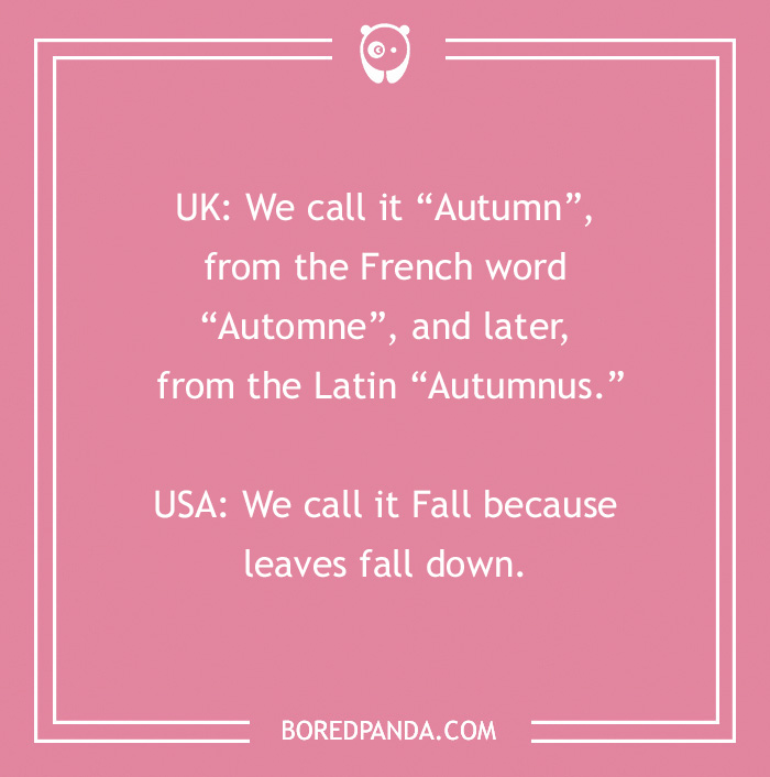 Pink background with witty fall joke about UK using "Autumn" and USA using "Fall" to describe the season.