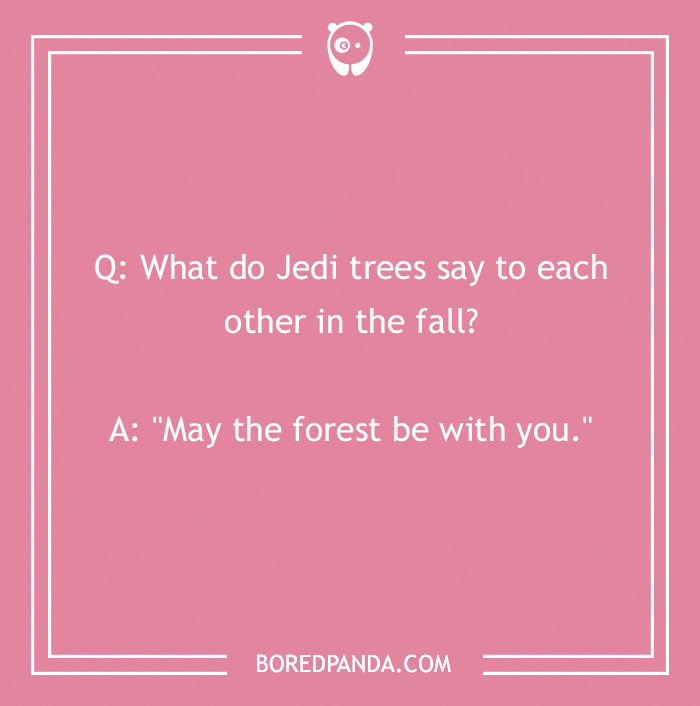 Fall joke on a pink background: "What do Jedi trees say in the fall? May the forest be with you."