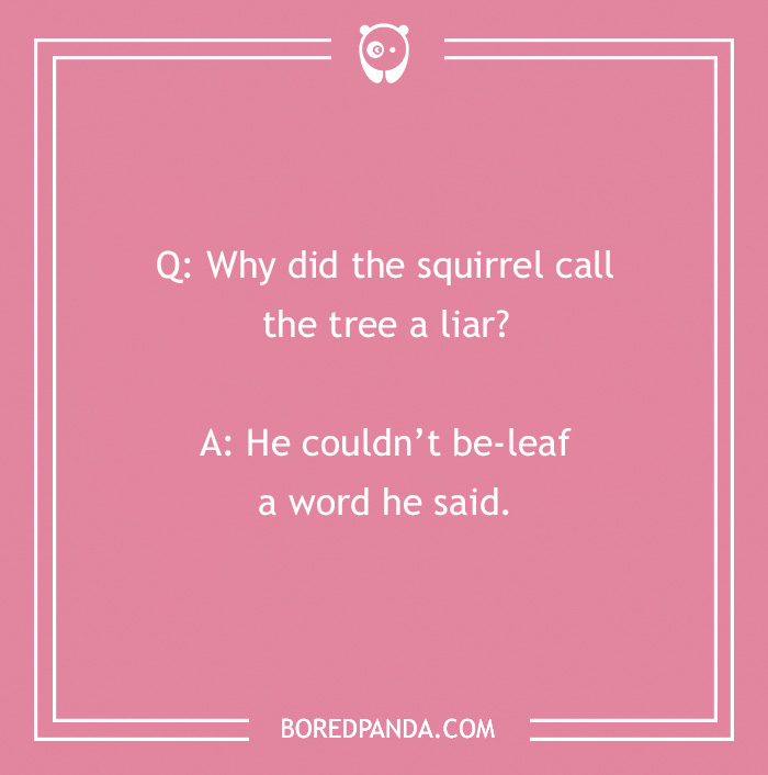 Fall jokes image with a squirrel pun: "Why did the squirrel call the tree a liar? He couldn’t be-leaf a word he said."