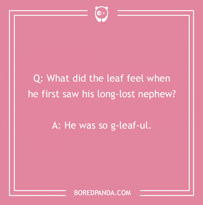 Pink background with a fall joke: "What did the leaf feel when he first saw his long-lost nephew? He was so g-leaf-ul."