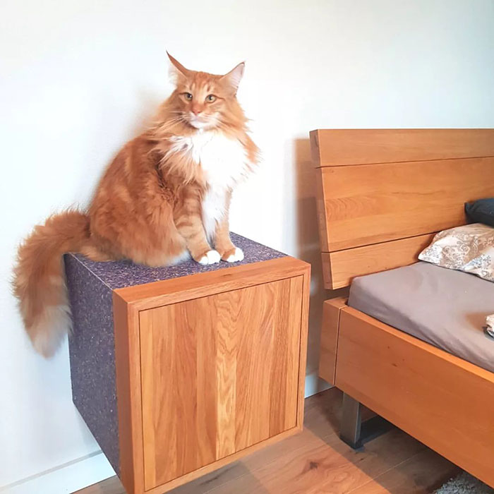 Floating nightstand with doors mounted on wall next to bed, featuring a wooden finish and modern design.