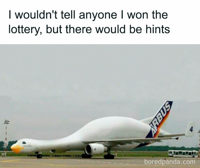 Animal-Humors-Funny-Memes