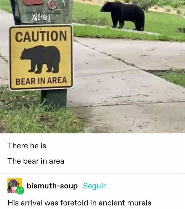 Animal-Humors-Funny-Memes