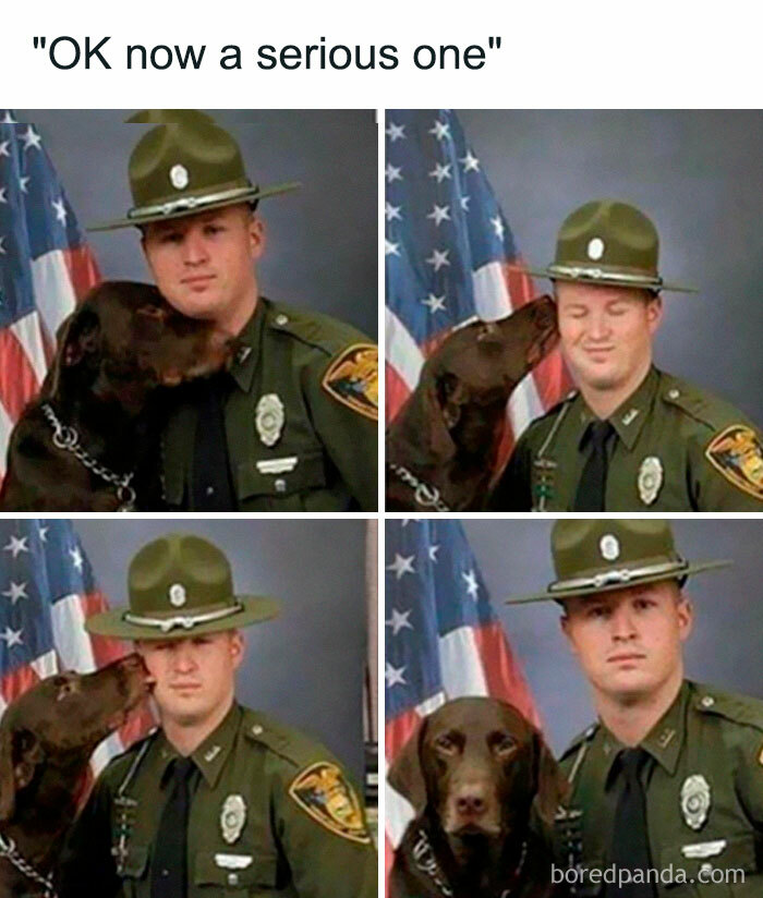 Animal-Humors-Funny-Memes