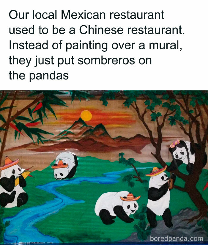 Animal-Humors-Funny-Memes