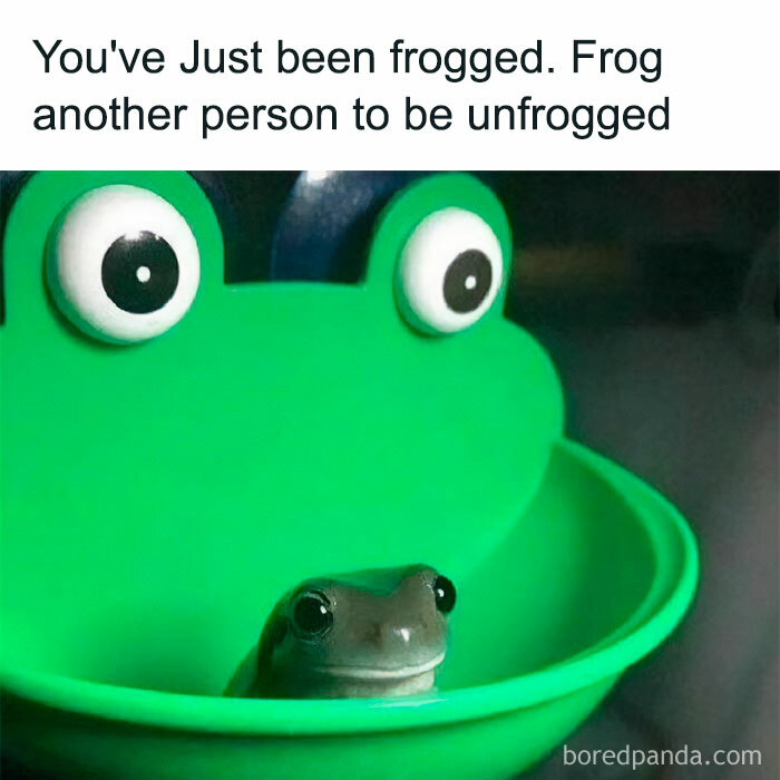 Animal-Humors-Funny-Memes