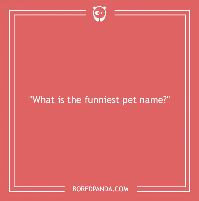 150 Funny Conversation Starters To Break The Ice Smoothly