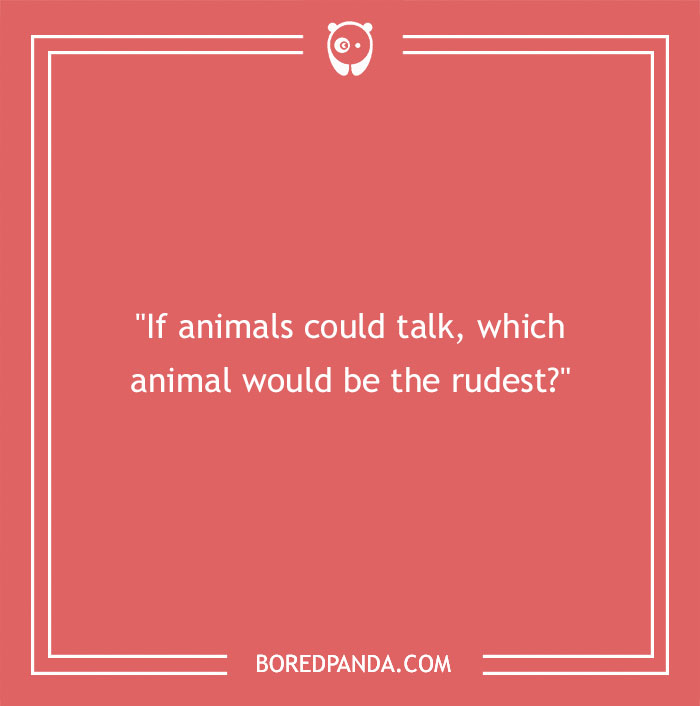 150 Funny Conversation Starters To Break The Ice Smoothly