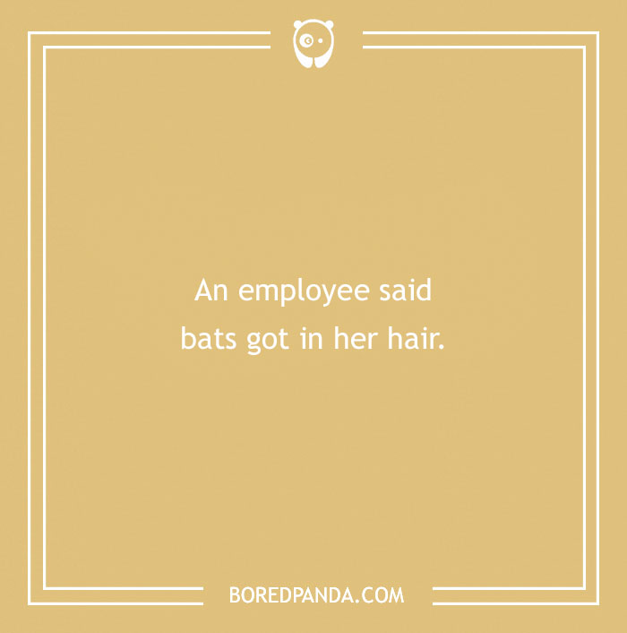 Funny excuse about bats getting caught in hair used as a far-fetched reason to pull a sickie at work.