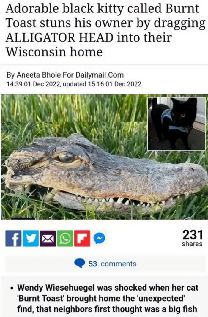 Burnt Toast The Slayer Of Gators