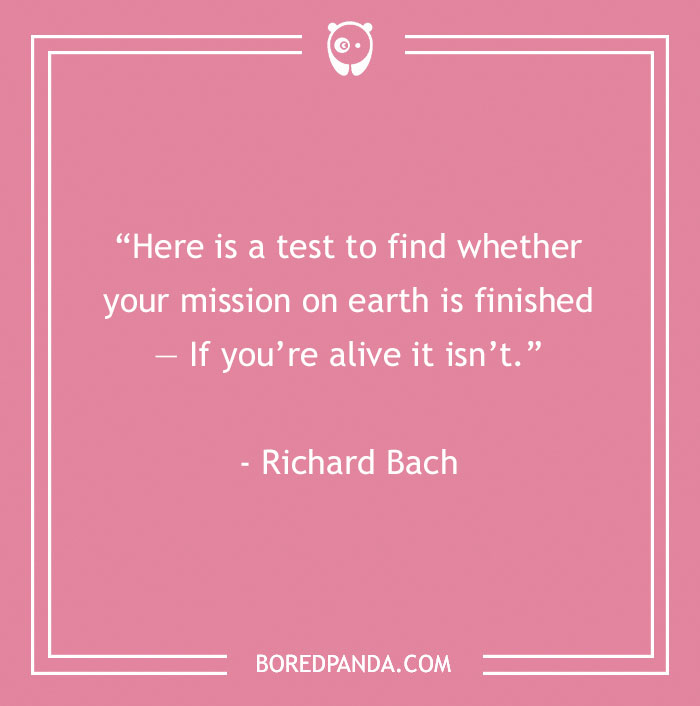 Pink background with a funny inspirational quote by Richard Bach about life's purpose.