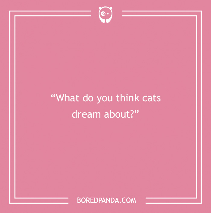 115 Funny Job Interview Questions We’re Sure Wouldn’t Mind Answering