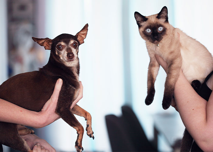 “I Didn’t Realize He Was Joking Until I Was Like 14”: 40 Hilarious Cases Of ‘Kid Logic’