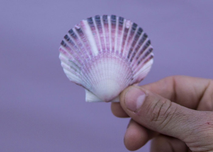 “I Didn’t Realize He Was Joking Until I Was Like 14”: 40 Hilarious Cases Of ‘Kid Logic’