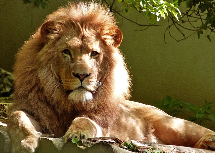 “I Didn’t Realize He Was Joking Until I Was Like 14”: 40 Hilarious Cases Of ‘Kid Logic’