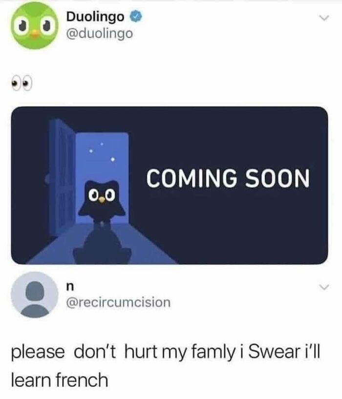 Funny-Language-Errors-Posts-Puns