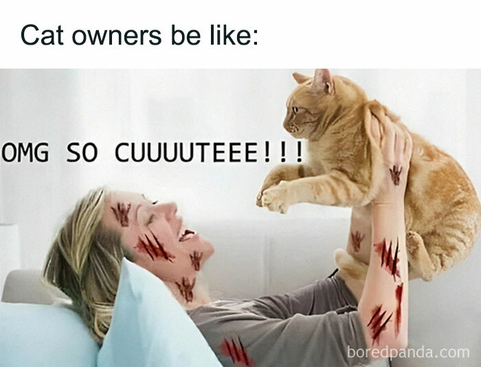 Funny-Memes-Introverts-World-Wide