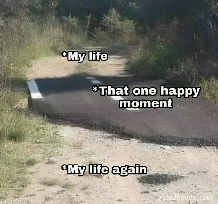 Funny-Memes-Introverts-World-Wide