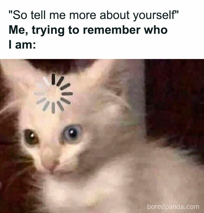 Funny-Memes-Introverts-World-Wide