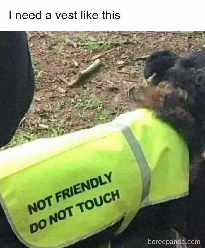 Funny-Memes-Introverts-World-Wide