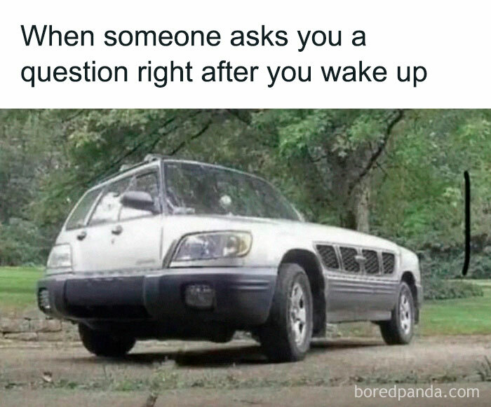 Funny-Memes-Introverts-World-Wide