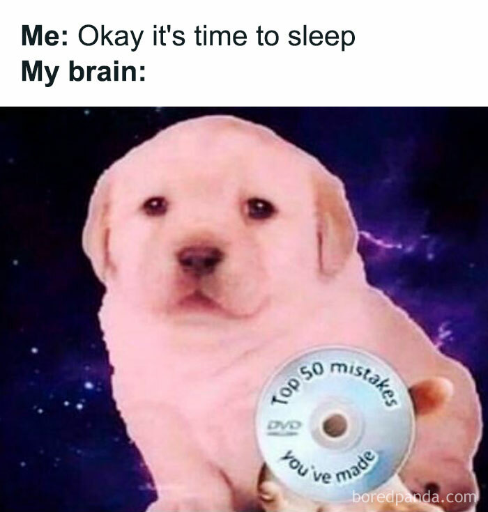 Funny-Memes-Introverts-World-Wide