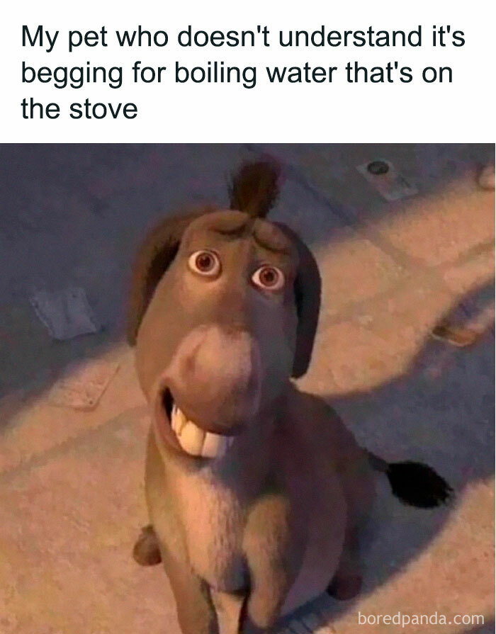 Funny-Memes-Introverts-World-Wide