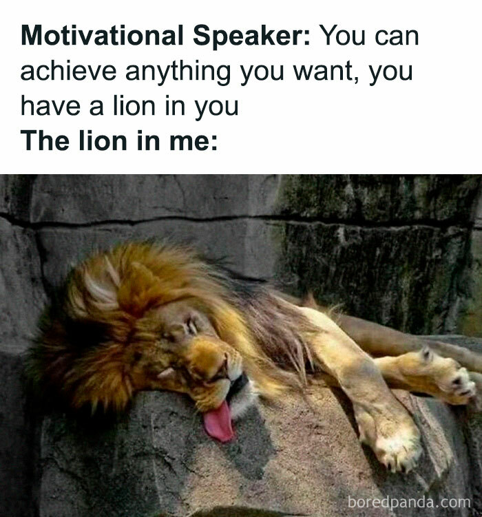 Funny-Memes-Introverts-World-Wide