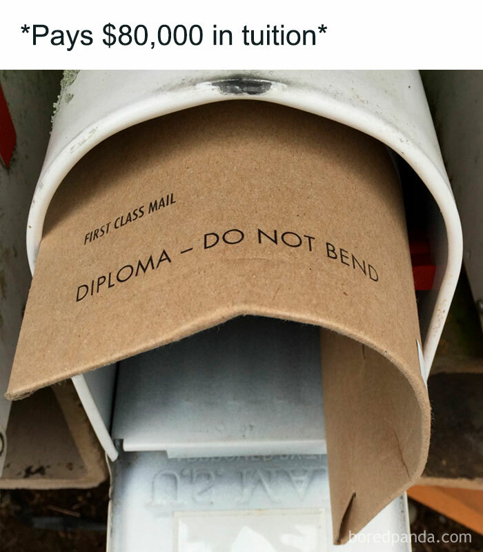 Funny-Memes-Relatable-Nation