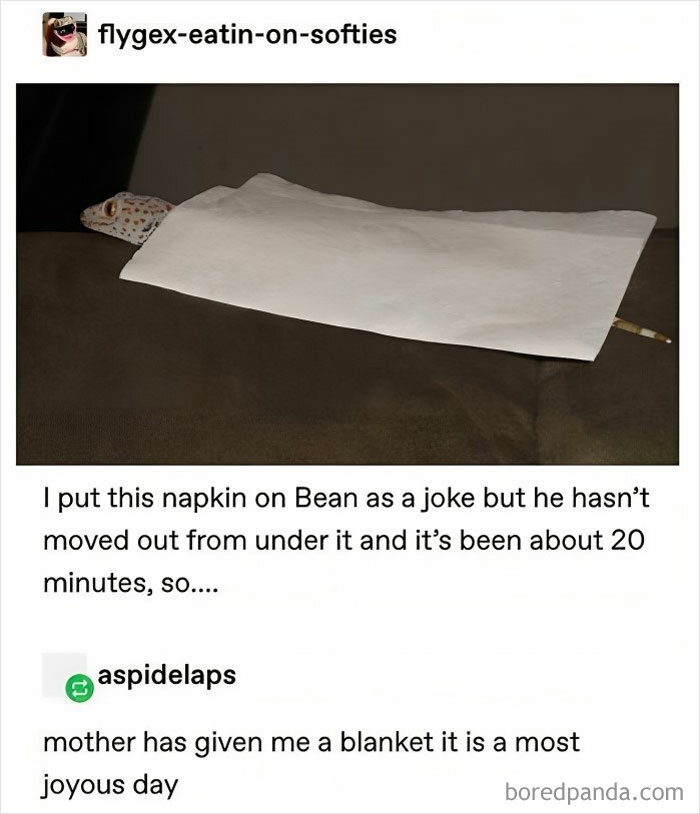 Funny-Memes-Relatable-Nation