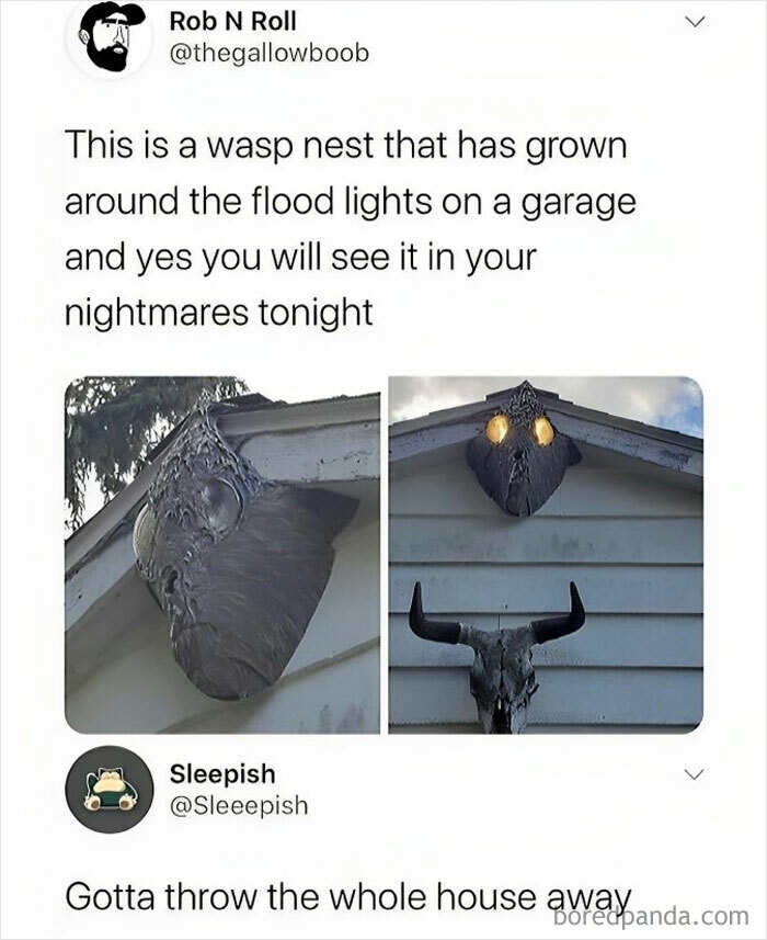 Funny-Memes-Relatable-Nation