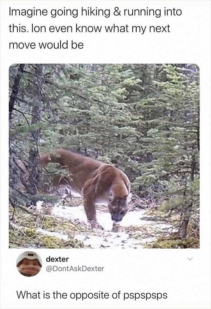 Funny-Memes-Relatable-Nation